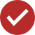 Filled Check Mark Icon