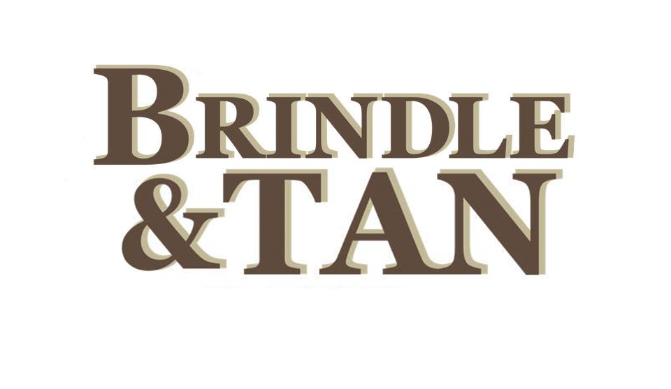 Brindle And Tan Start Logo